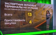 Экономический тупик: Суда с зерном полностью прекратили заходить в порты Украины