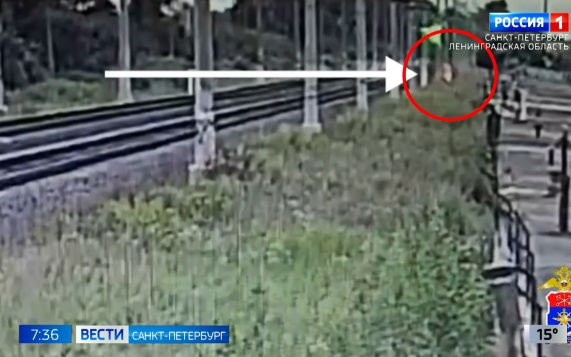 Эфир от 24.07.2026 (07:35)