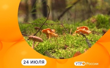 Эфир от 24.07.2026