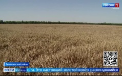 Эфир от 23.07.2026 (21:10)