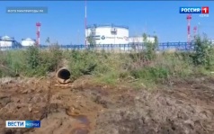 В Печорском районе обнаружили нефтеразлив
