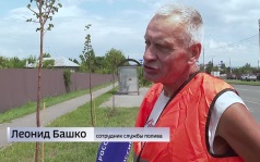 Куряне жалуются на сухие деревья в парках и скверах