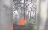 Пожары в Красноярском крае и Югре усиливают борьбу с огнем.