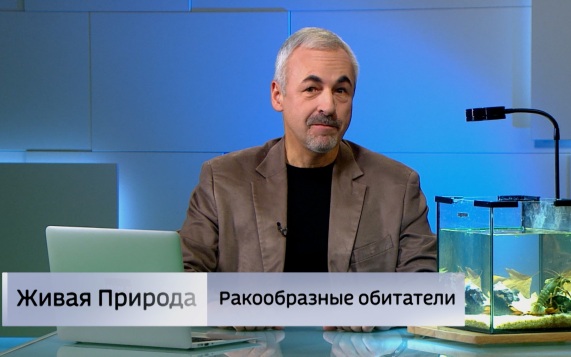 Живая природа. "Ракообразные обитатели". Эфир от 25.07.2026
