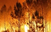 Огонь вплотную подошел к военным заводам и ядерным центрам во Франции