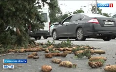 Град и ураган в Ростовской области: масштабы разрушений и восстановление