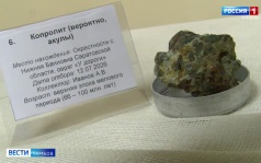 Студенты ТГТУ вернулись из экспедиции с находками