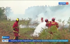 Лесные пожары в Бордо: угроза столице винодельческого региона