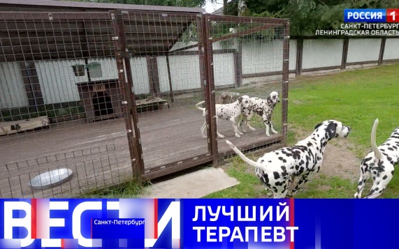 Эфир от 27.07.2026 (11:30)