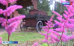 Эфир от 24.07.2026