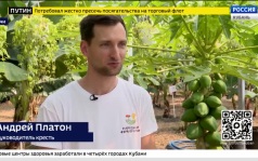 Эфир от 27.07.2026 (17:30)