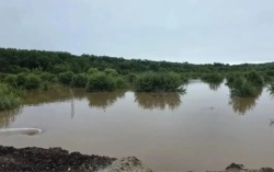 В Серышевском округе закрыт проезд на трассе из-за размыва дороги