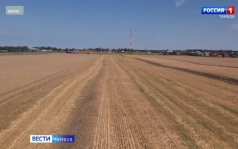 Уборочная кампания на полях региона в разгаре