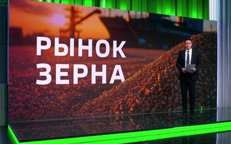 Цены на пшеницу падают из‑за нового урожая и проблем с экспортом