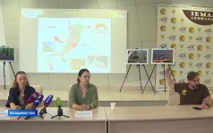 Приморские экологи озвучили сенсационные данные по популяциям краснокнижных кошек