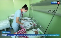 Естественная тройня в Новосибирске — редкий подарок судьбы