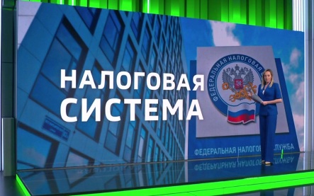 Налоговые поступления в бюджетную систему РФ выросли на 8% в первом полугодии