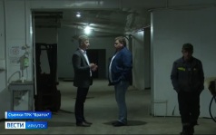 Экологическая проблема на Братском водохранилище — нашествие бакланов привело к падению улова рыбы