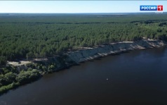 В Республике Коми в 2026 году работы по восстановлению леса охватили 4 тысячи гектаров