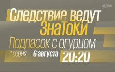 Следствие ведут знатоки. Подпасок с огурцом. 1 серия. 6 августа