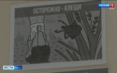 За неделю в Коми пострадало 44 человека от укусов клещей