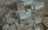 Правда о белой смерти