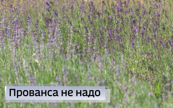 Эфир от 30.07.2026 (11:30)