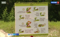 Лесные массивы региона защищают от возможных пожаров и их последствий