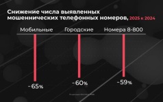 Россия в цифрах. Как идет борьба с телефонным мошенничеством?