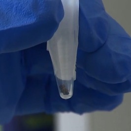 "Защита от вируса Бурбон – только личная"
