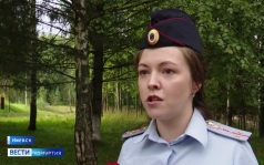 Эфир от 31.07.2026