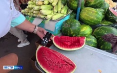 Сегодня куряне празднуют Всемирный День арбуза