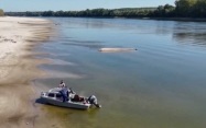 Обмеление Дуная спровоцировало в Европе энергетический кризис