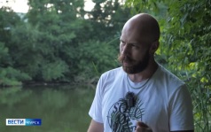 В Курской области начали расцветать лотосы — уникальные цветы