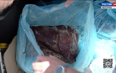 В Белгороде уничтожили более 100 килограммов мясной продукции неизвестного происхождения