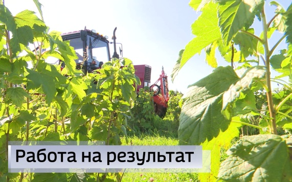 Вести-Псков 05.08.2026 09-30
