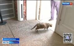 Эфир от 06.08.2026 (09:30)