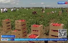 Эфир от 05.08.2026 (21:10)