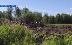 Вести Арктики с Алексеем Шемякиным, эфир 6 августа 2026 г.