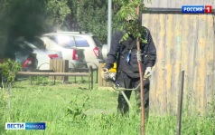 Теруправления контролируют покос травы управляющими компаниями
