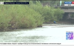 Эфир от 07.08.2026 (13:00)