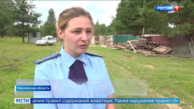 Эфир 07.08.2026