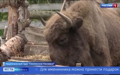 Эфир от 07.08.2026 (11:30)