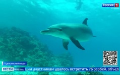 Эфир от 06.08.2026 (11:30)