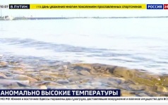 Экстремальная жара охватила южные регионы России