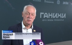 Во Владивостоке состоялась презентация проекта «Ганихи»