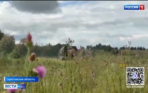 Эфир от 09.08.2026 (08:30)