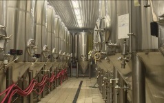 Обмануть государство на миллиарды рублей  и не получить срок