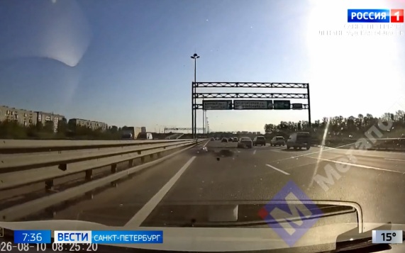 Эфир от 11.08.2026 (07:35)