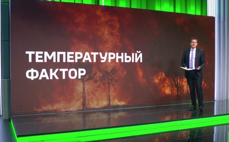 Евросоюз столкнулся с критически низкими запасами газа